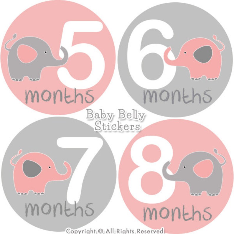 Baby Month Stickers Baby Belly Stickers Monthly Milestone Stickers Monthly Baby Stickers Baby Monthly Stickers Bodysuit Stickers