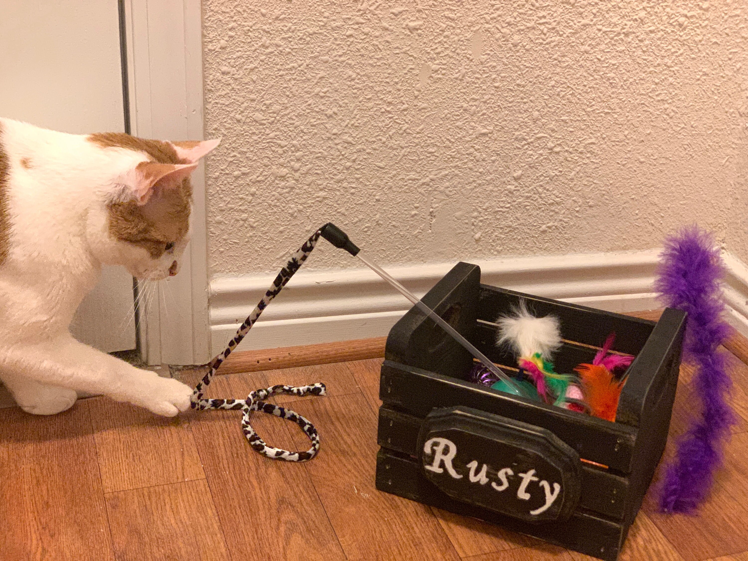 Cat toy bin personalized cat toy box wood cat toy box cat Etsy