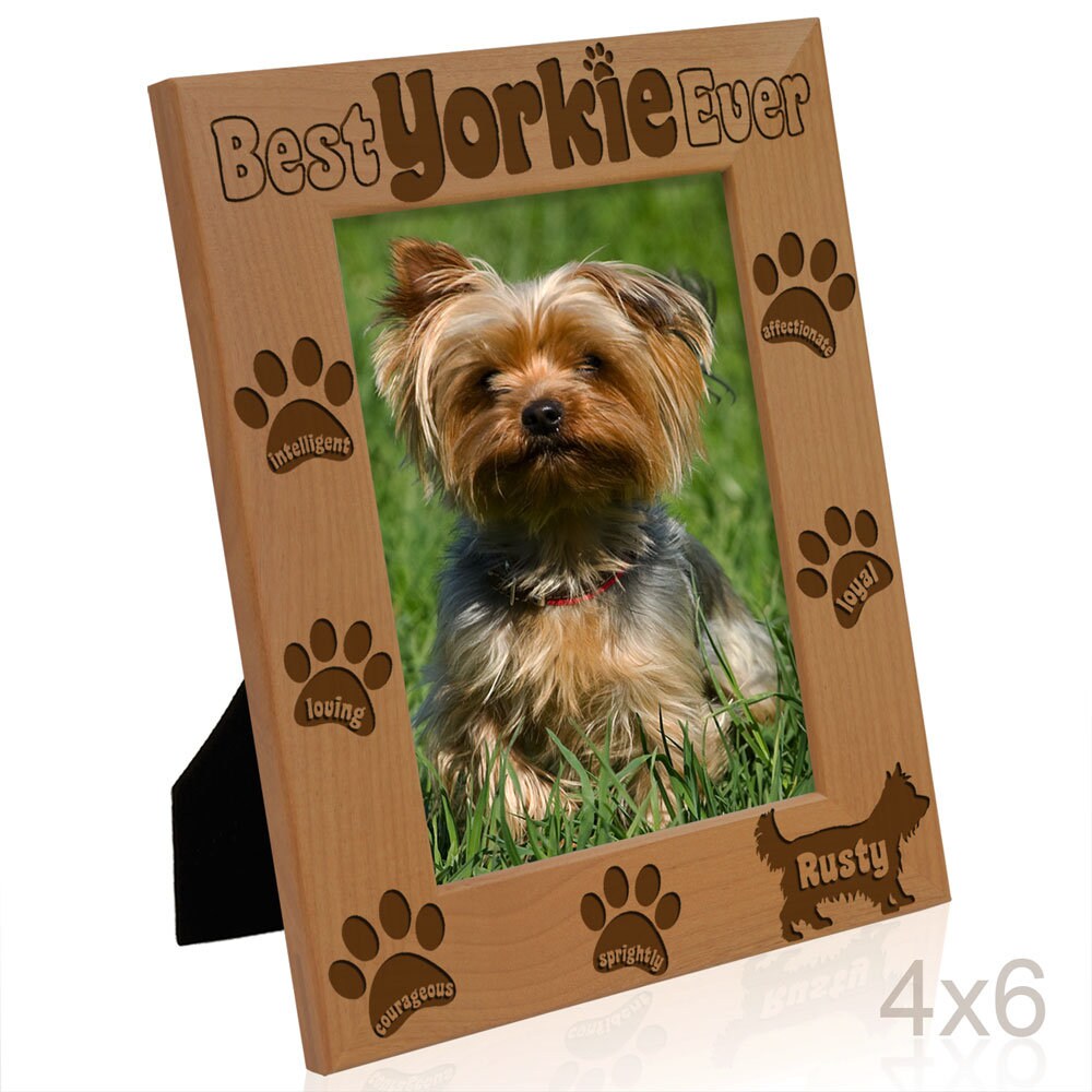 PERSONALIZED -best Yorkie Ever Picture Frame. Gift for Dog Lovers ...