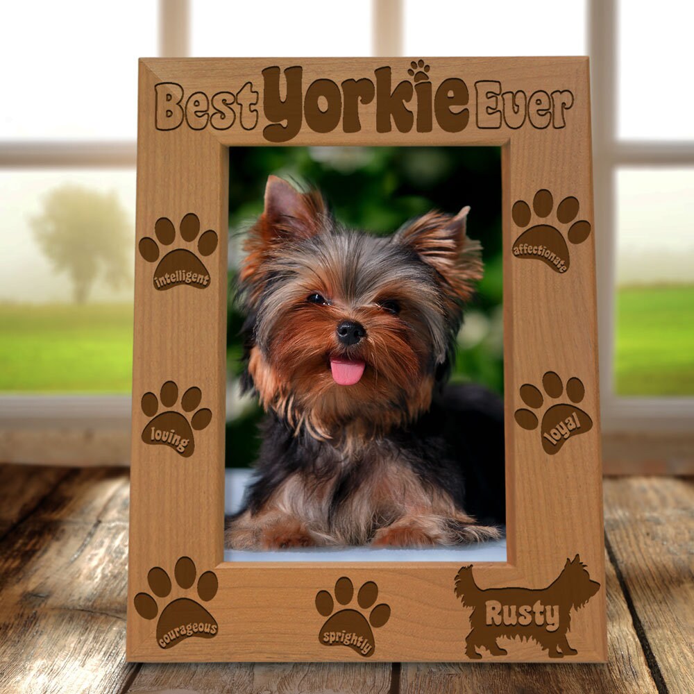 PERSONALIZED -best Yorkie Ever Picture Frame. Gift for Dog Lovers ...
