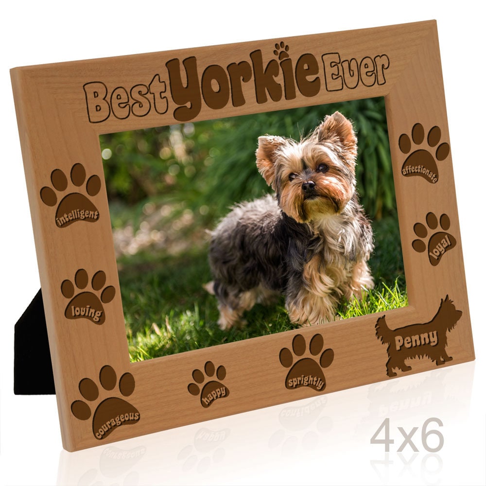 PERSONALIZED -best Yorkie Ever Picture Frame. Gift for Dog Lovers ...