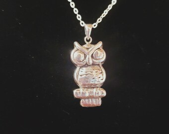 Silver tone Owl Sterling Silver Necklace Owl lover gift for mom
