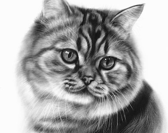 Custom Hand-Painted Cat Portrait: Oil Painting on Paper