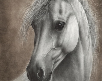 Original White Horse Painting - Hand Painted Artwork