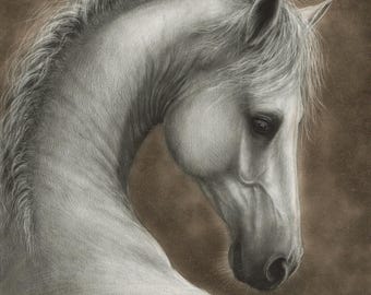 White Horse Portrait - Original Hand Painted Artwork