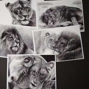 Conjunto de 5 cartões de arte de leão - Cartões de felicitações em branco com desenhos de vida selvagem - Presente para amantes de animais