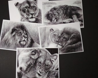 Lot de 5 cartes d'art Lion - cartes de voeux vierges avec dessins d'animaux sauvages - cadeau pour amoureux des animaux