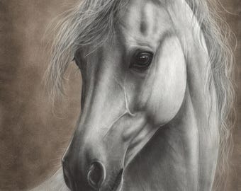 Hand Painted Horse Print - Horse Wall Art from Original Painting - Equine Artwork