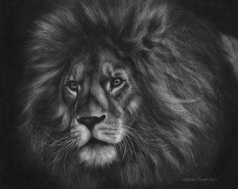 Original Black and White Lion Oil Painting: Realistic Wildlife Art