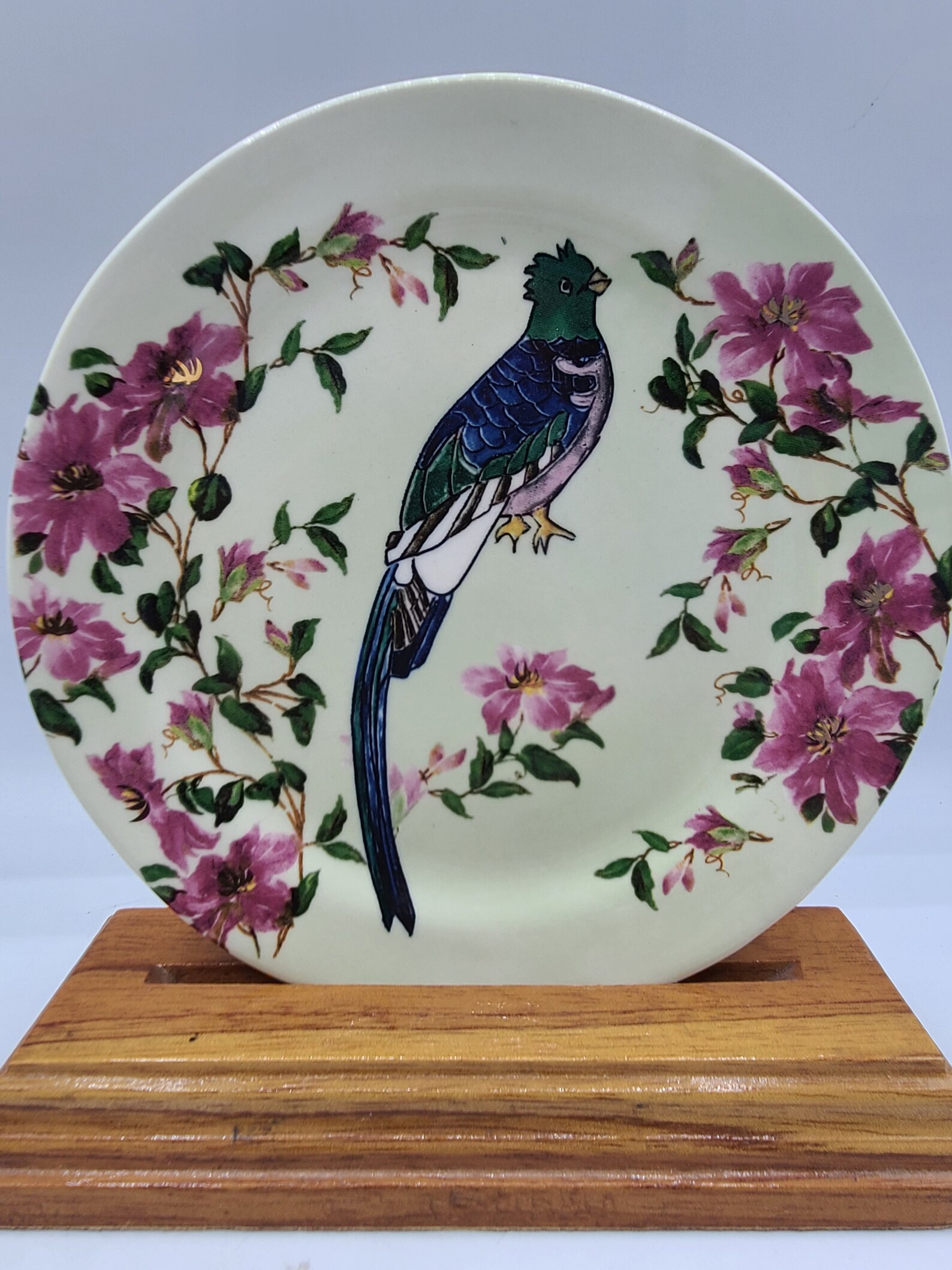 Anthropologie Parrot Dessert Plate Pottery Plumology Lee Page Etsy