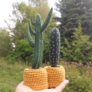 May include: Two felt cactus plants in crocheted yellow pots. The cactus on the left has multiple arms and the cactus on the right has a star pattern.