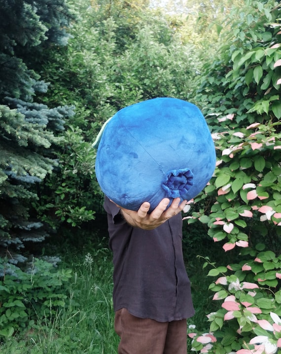 3D Oversized Blueberry Pillow, Country House Decor, Cutie Big Fruit, Sofa Cushion, Florfanka