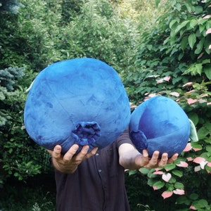 May include: Two plush blueberry pillows, one large and one small, are held in front of a person's torso. The pillows are blue and have a dark blue stem detail. The person is wearing a dark blue shirt.