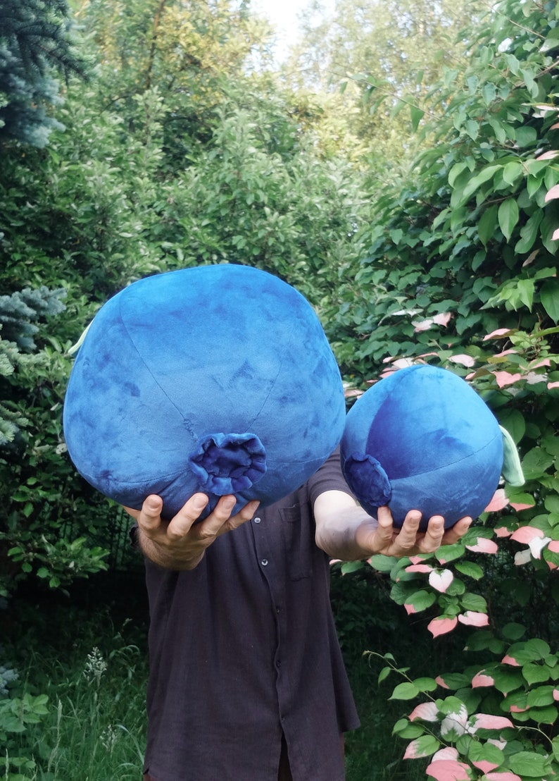 May include: Two plush blueberry pillows, one large and one small, are held in front of a person's torso. The pillows are blue and have a dark blue stem detail. The person is wearing a dark blue shirt.