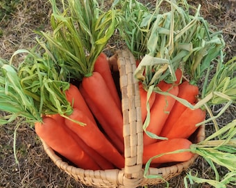 Velvet Carrots, Easter Basket, Rustic Carrot, Farmhouse Easter Decor, Tiered Tray Carrot, Cloth Carrots, Wreath Filler, Florfanka