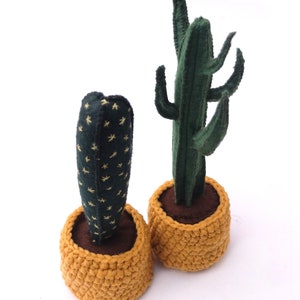 May include: Two potted felt cactus plants. The cactus on the left is a small, green cactus with yellow stars. The cactus on the right is a tall, green cactus with multiple arms. Both cacti are in yellow crocheted pots.