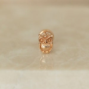 Dainty 14k Solid Gold Owl Figure Screwback Ear Piercing/Stud