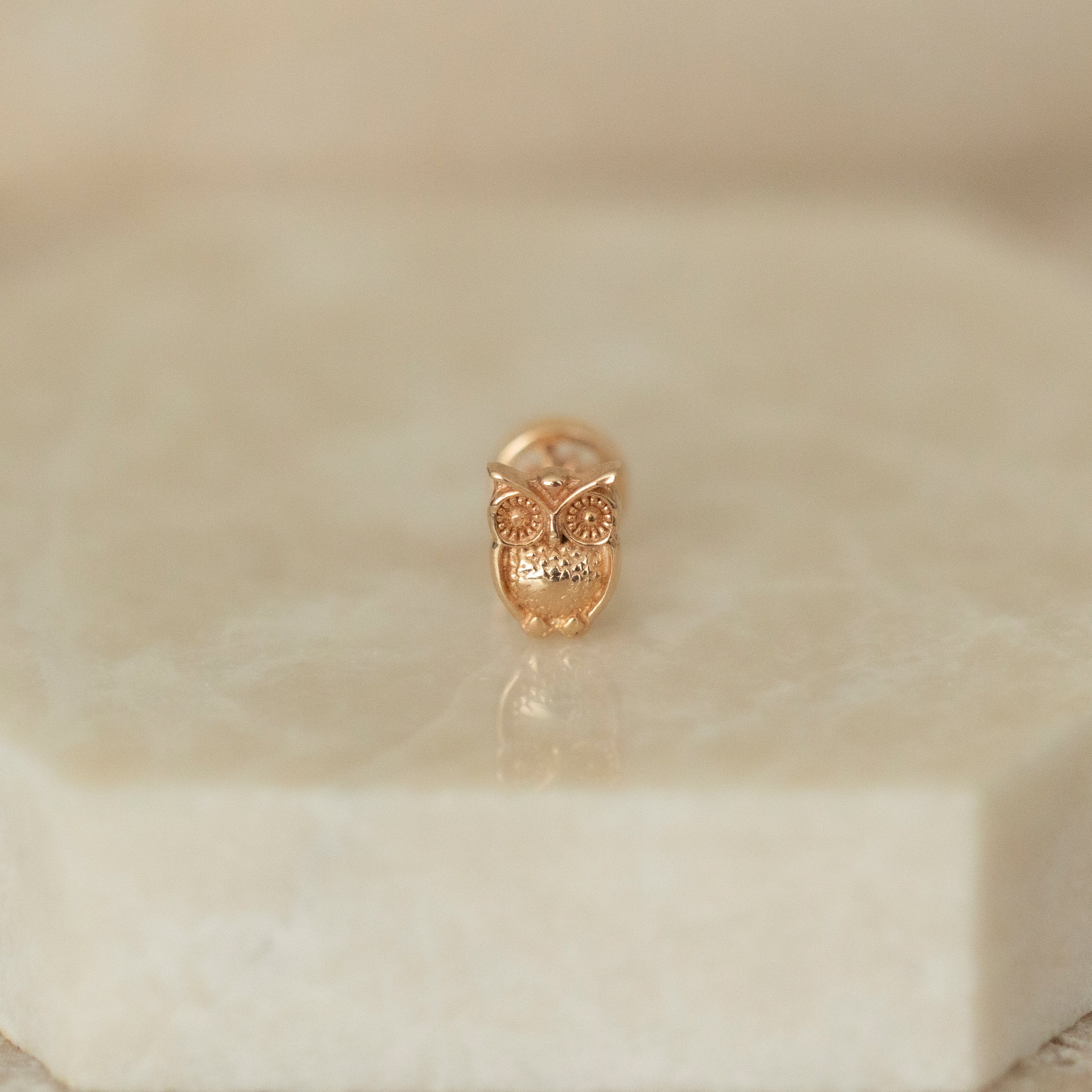 Dainty 14k Solid Gold Owl Figure Screwback Ear Piercing/Stud