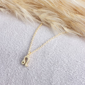 14k Solid Rose, White, Yellow Gold Chain and Leo Zodiac Pendant Necklace