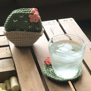 Cactus coasters with pot/holder, 4 Pack