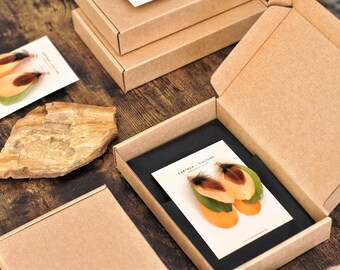 May include: A pair of feather earrings with a brown, orange, and green color scheme are displayed in a small cardboard box with a black interior. The earrings are packaged on a white card with the text "Earthen Culture Handmade Jewelry" printed on it.