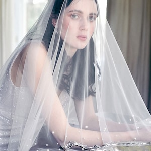 Pearl Wedding Veil, drop veil with pearls, ivory wedding veil with pearls, blusher veil, two tier veil, pearl bridal veil, unique veil image 1