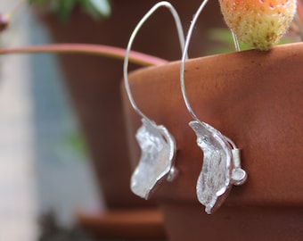 Earrings of fused silver