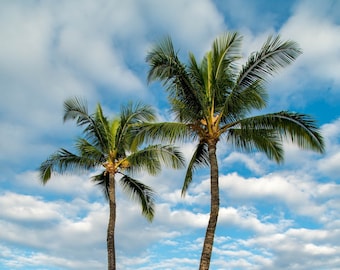 Waikoloa Shores Two Palms Volcanic Coastline Fine Art Print, Artist Hand | Waikoloa Hawaii Big Island Coastal Photography