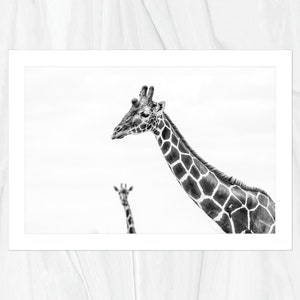 Nubian Giraffe Photo Bomb Lake Nakuru National Park Fine Art Print, Hand-Signed by Artist Wildlife Photography African Safari image 2