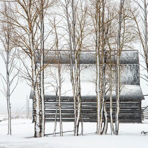 Winter Barn Moulton Farm Mormon Row Grand Teton National Park Fine Art Print, Artist Signed | American West Series | Jackson Wyoming