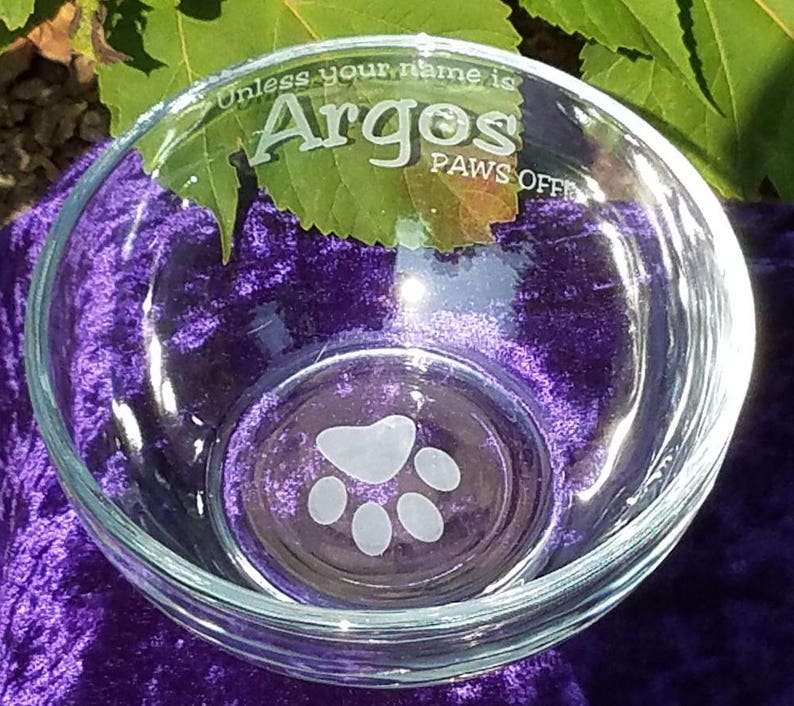 Dog Food Bowl Glass Dog Bowl Water Bowl Personalized Paw Etsy