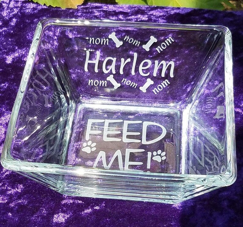Dog Food Bowl Square Glass Dog Bowl Water Bowl Etsy