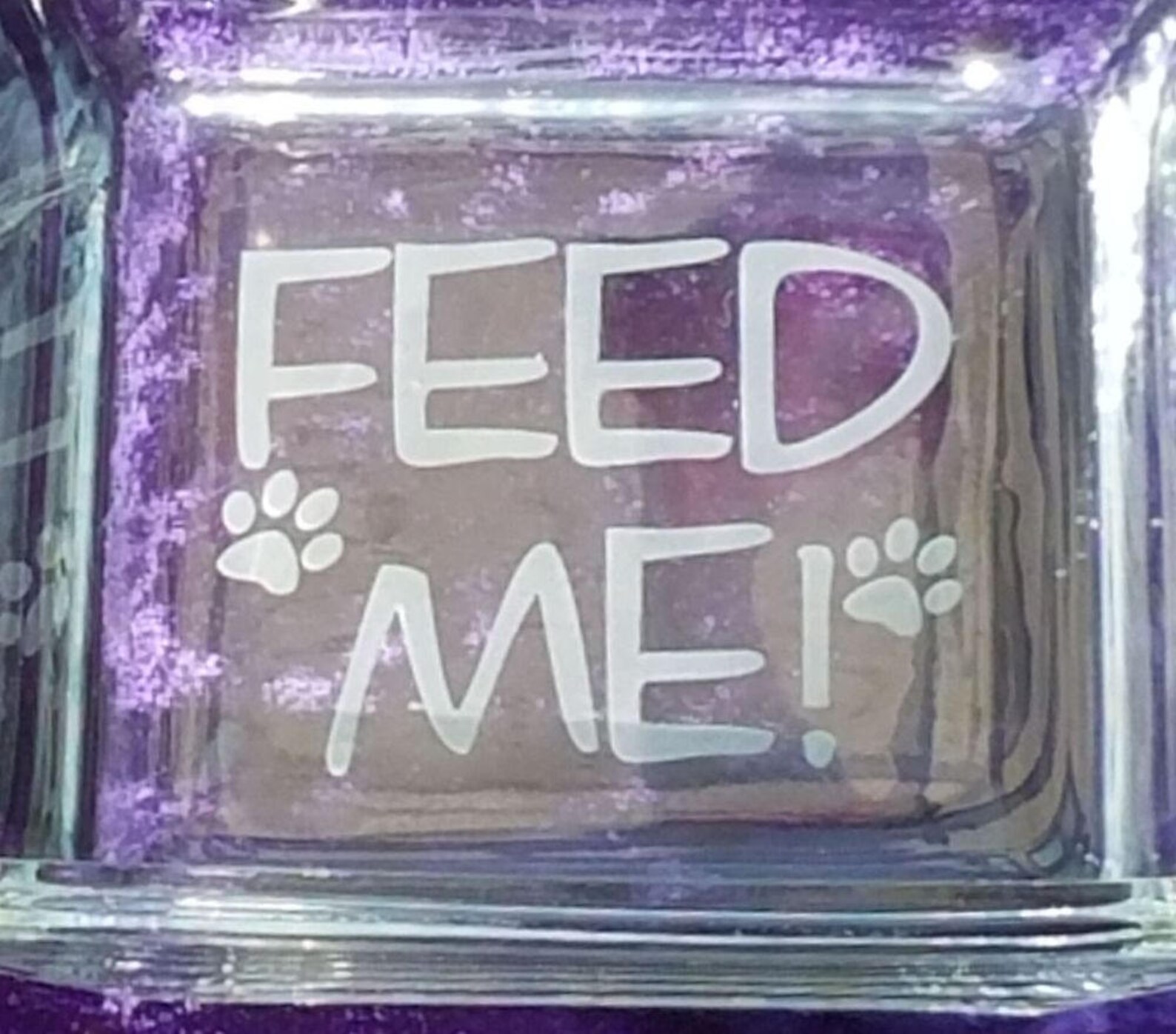 Dog Food Bowl Square Glass Dog Bowl Water Bowl Etsy