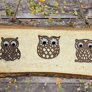 Owl Wall Art on Natural Wood Slices Farmhouse Decor with Wiggle Eyes Black and White Woodland Rustic Wall Hanging Wood Decor