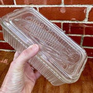 May include: A rectangular clear glass butter dish with a lid featuring a molded corn cob design on the top surface. The sides of the base and the lid have a vertical ribbed texture. The glass is transparent and reflects light across its surface.