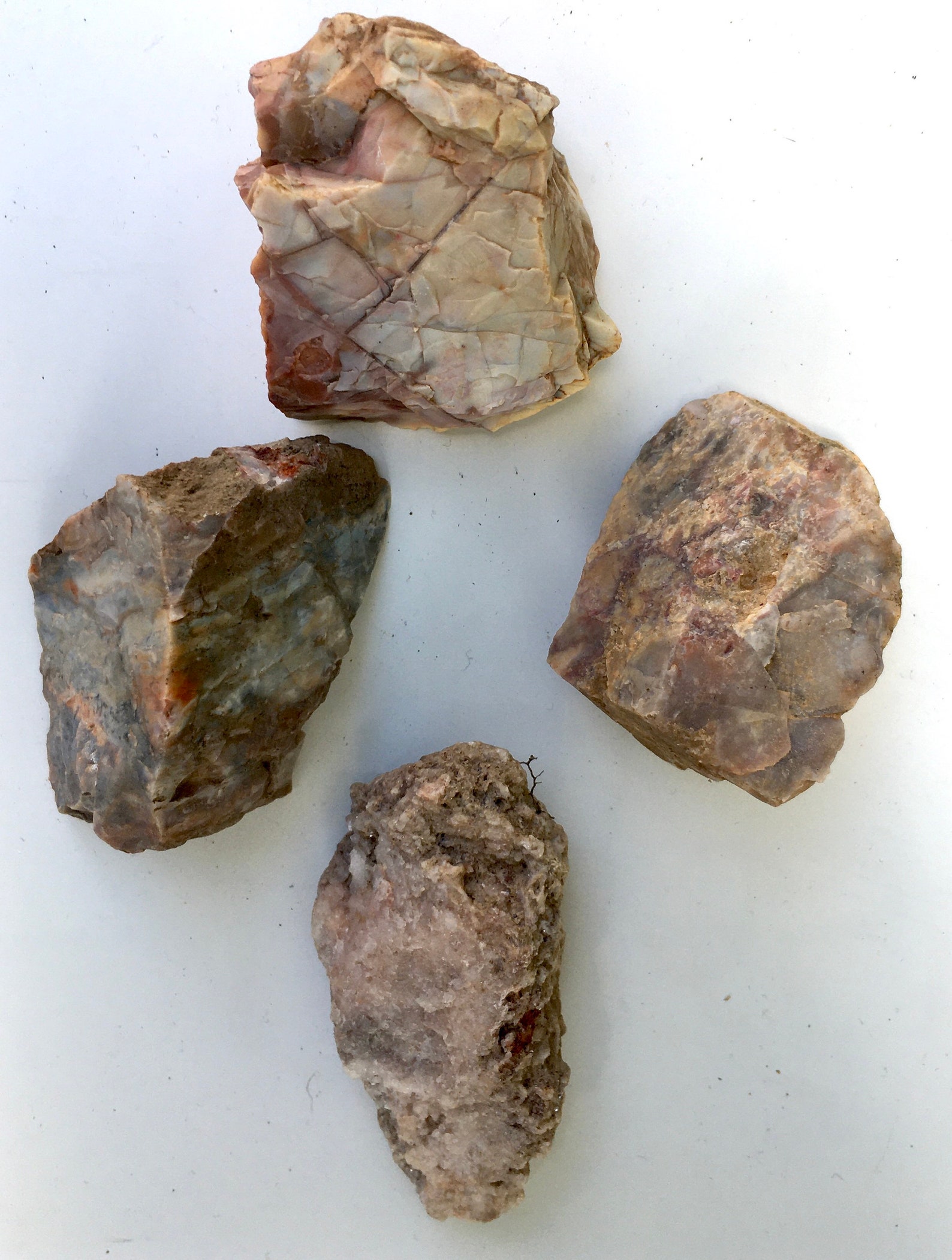 Ozark Rocks Gems and Minerals MOZARKITE Missouri State Rock | Etsy