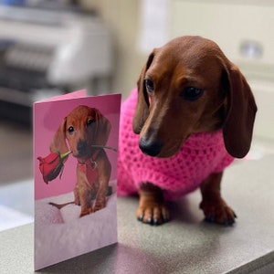 Dachshund Sweater Handmade/Hand Crocheted - Long Sweaters for Long Dogs - Solid Colors