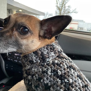 Dachshund Sweater Hand Crocheted- Long Sweaters for Long Dogs- Variegated (Multicolored)