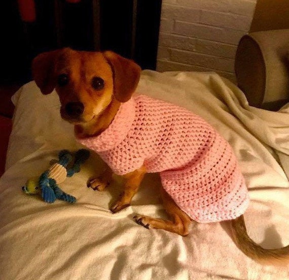 dachshund sweater