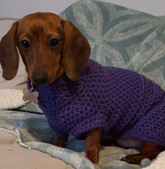 dachshund sweater