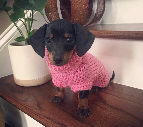 sweater with dachshund on it