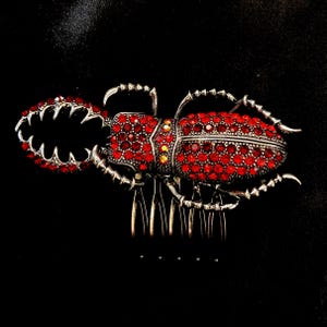 Red Beetle, Large Hair Comb, Beetle Hair Comb, Red Bug, Insect Hair Comb, Jeweled Insect, Stag Beetle, Silver Insect Hair, Red Hair Comb