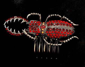 Escarabajo rojo, peine grande, peine de escarabajo, chinche roja, peine de insecto, insecto enjoyado, ciervo volante, pelo plateado de insecto, peine rojo