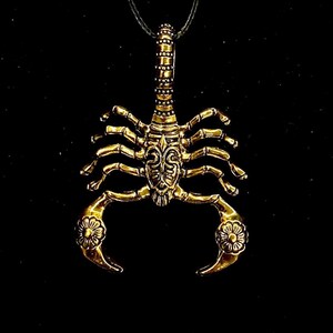 K&ouml;nnte beinhalten: Eine goldfarbene Skorpion-Anh&auml;nger-Halskette. Der Skorpion ist mit komplizierten Designs verziert und hat eine schwarze Schnur.