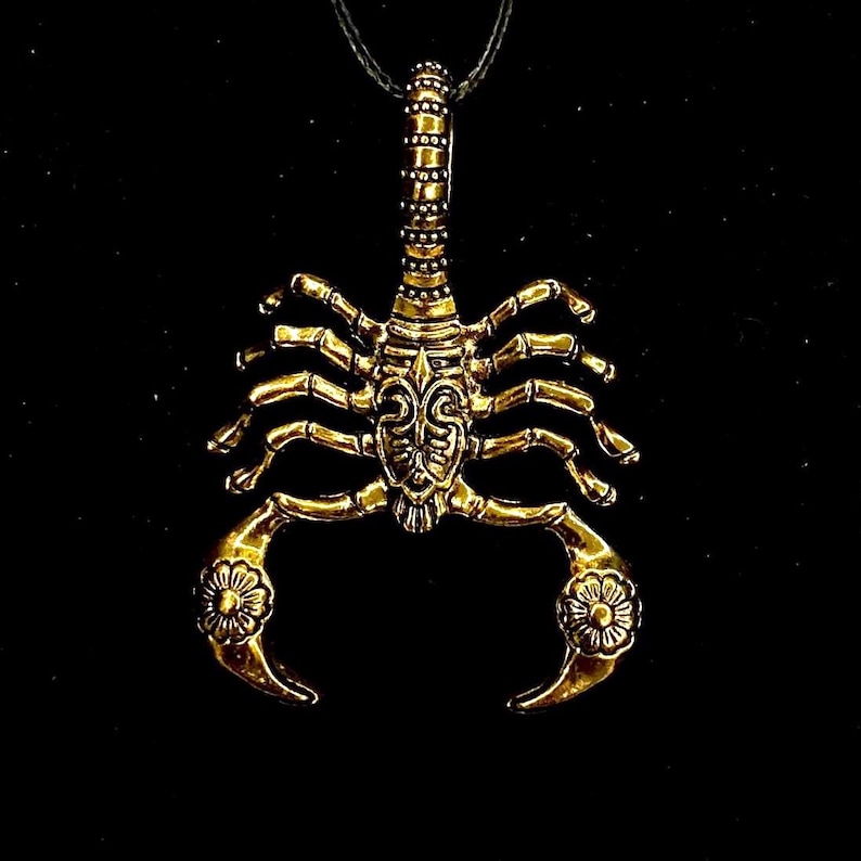 K&ouml;nnte beinhalten: Eine goldfarbene Skorpion-Anh&auml;nger-Halskette. Der Skorpion ist mit komplizierten Designs verziert und hat eine schwarze Schnur.