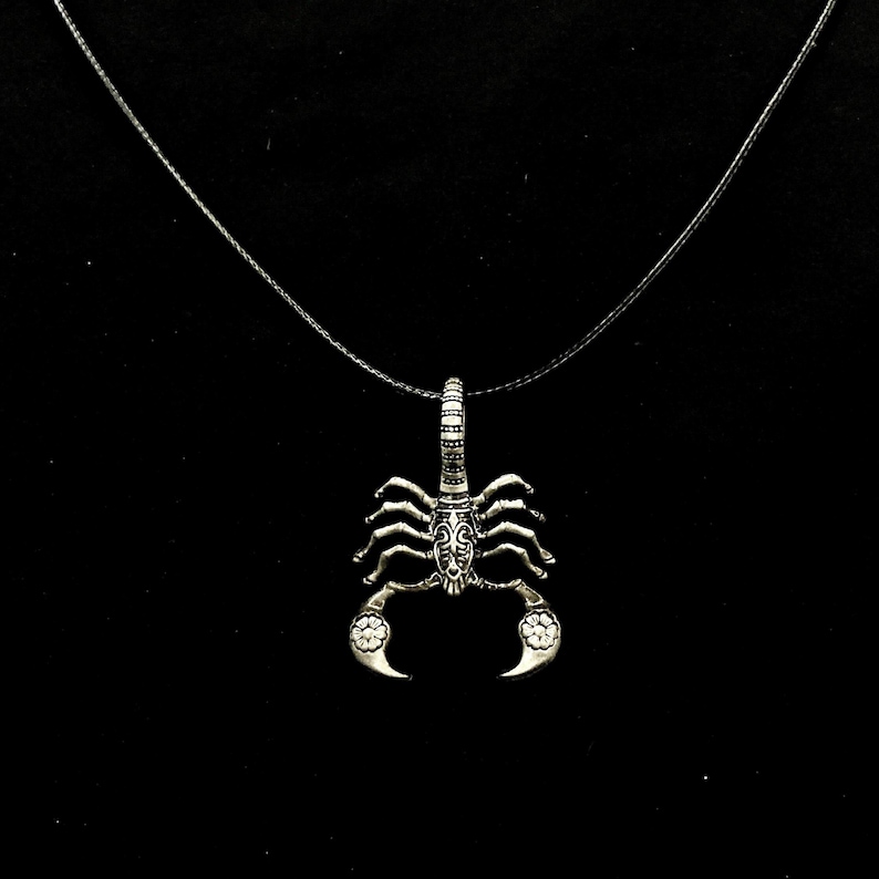 May include: A silver scorpion pendant necklace with a black cord. The scorpion is detailed with intricate designs.