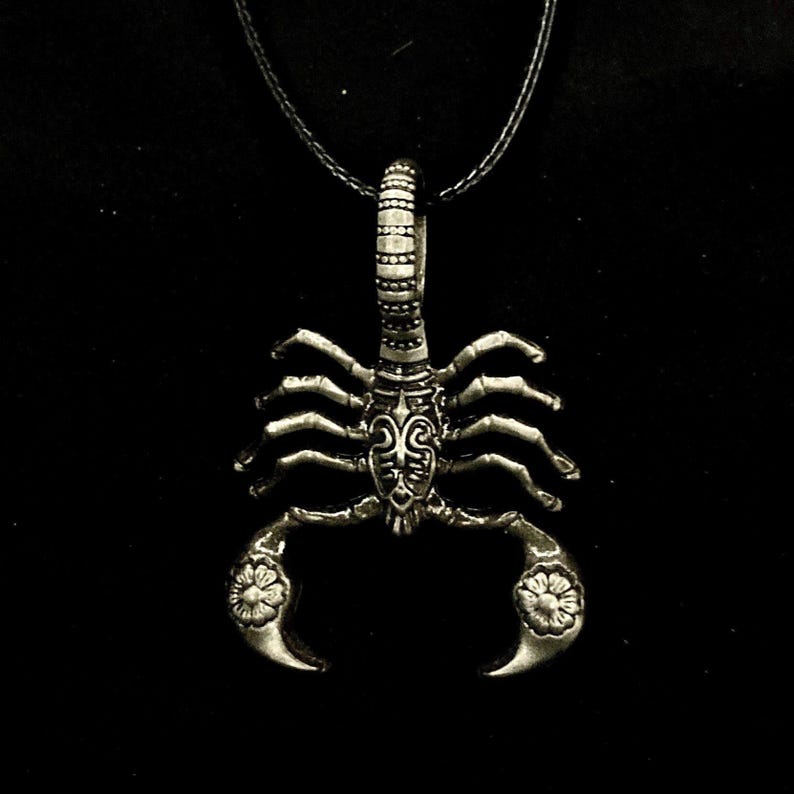 May include: A silver scorpion pendant necklace with a black cord. The scorpion has detailed carvings and a floral design on its tail.