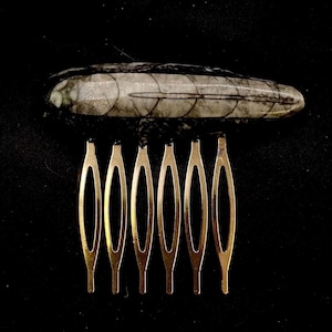 May include: A hair comb with a fossilized ammonite top. The comb has five gold-colored teeth.