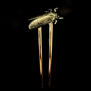 Guld Cikada Hårgaffel: Brons Insekt Hårsmycken Hårnål Knut Hållare