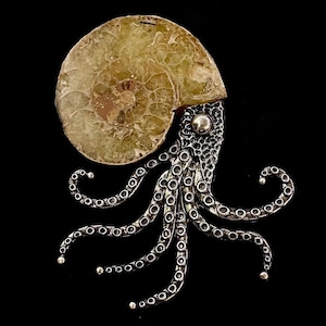 Ammonite Brooch, Ammonite Pin, Fossilized Shell, Sea Shell, Marine Mollusc, Nautilus Hair Fork, Fossil Hair Fork, Marine Fossil, Fossil Pin